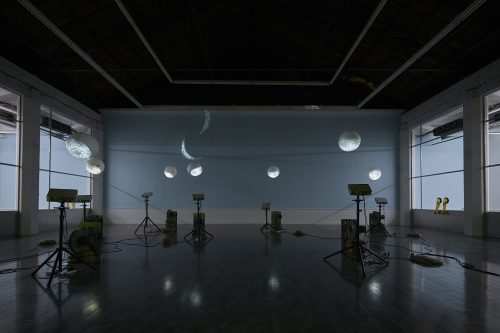 唐纳天，人鼻病毒14型，2016