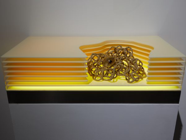 Jes Fan, I think about Lam Qua everyday III, 2019