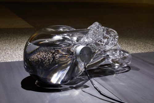 Juan Antonio Olivares，Motus机器，2019