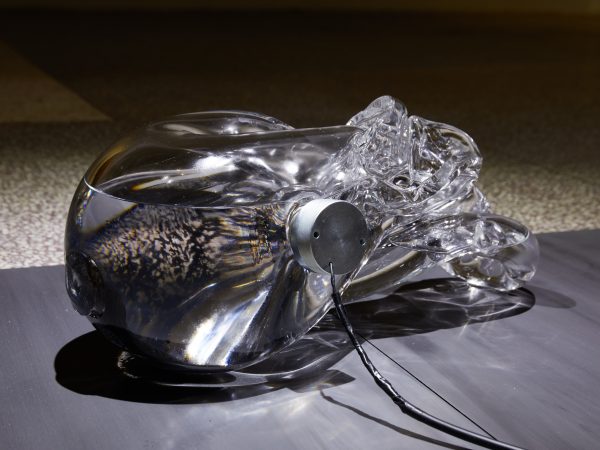 Juan Antonio Olivares, Motus Machine, 2019
