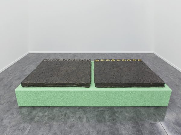 Yu Honglei, Cat, 2016
