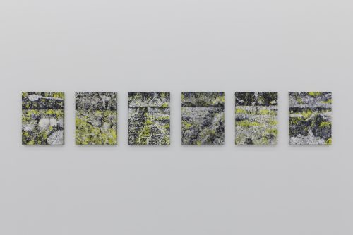 Yu Honglei, [][][][][][]#6, 2019