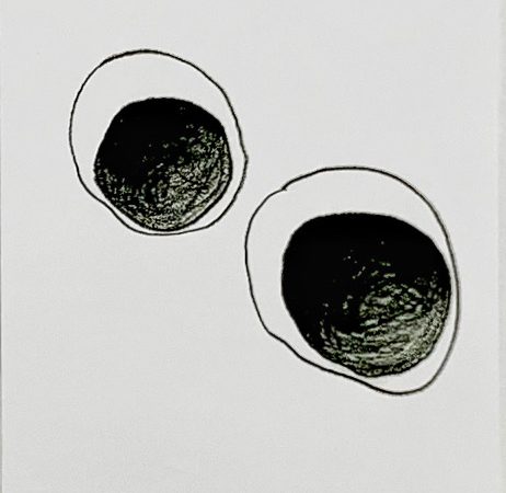 李美来，Eyes of the grapes #2，2022
