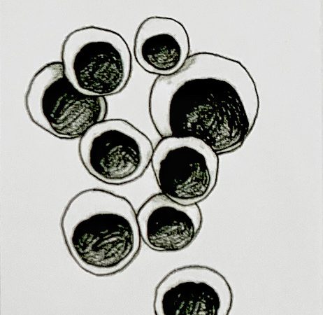 李美来，Eyes of the grapes #3，2022