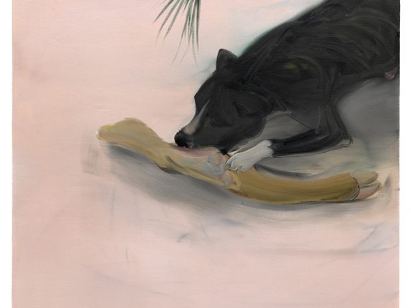 程心怡，Predator，2016