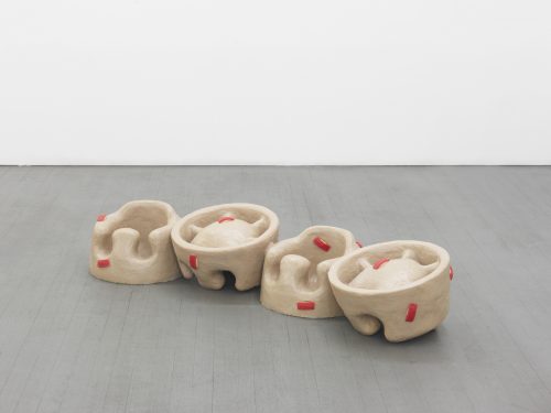 南希·卢普，Super Realistic Deluxe Tuna，2015