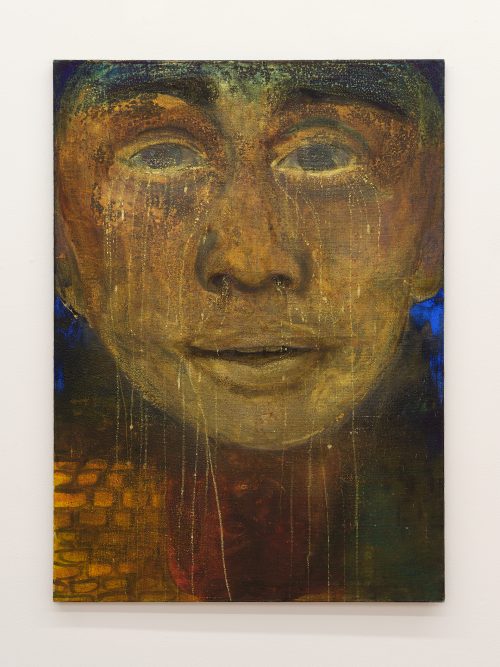 斯坦尼斯拉娃·科瓦奇科娃，Dylan’s Face/Dylan at the Movies，2015-2023