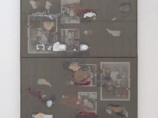 徐梯善，QMH - Missing Photos，2015