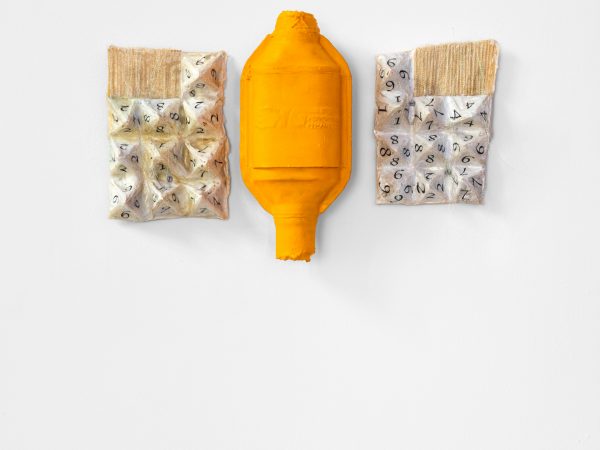 南希·卢普，The archival quality of a feeling. Spices.，2023