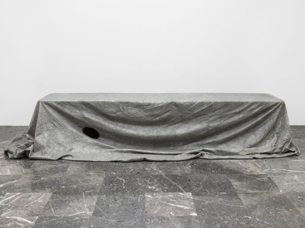 南希·卢普，Cover (2002 Chevy Blazer)，2018