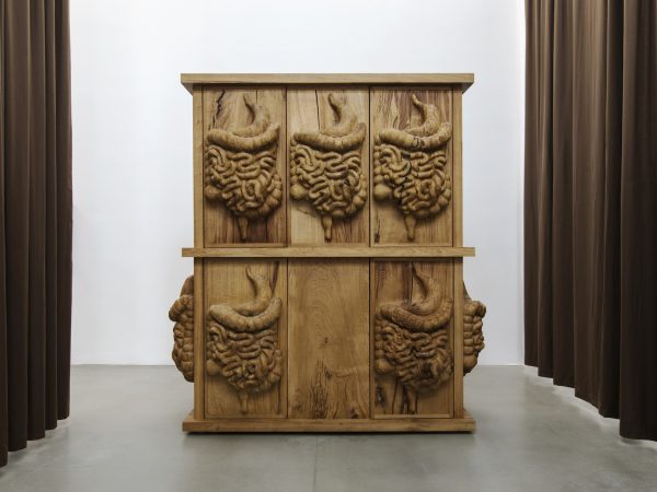 丹尼尔·杜瓦 & 格雷戈里·吉奎尔，Oak cabinet with organs，2017