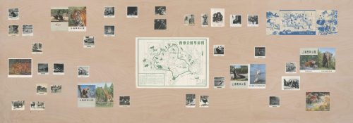 上海动物园1，2023