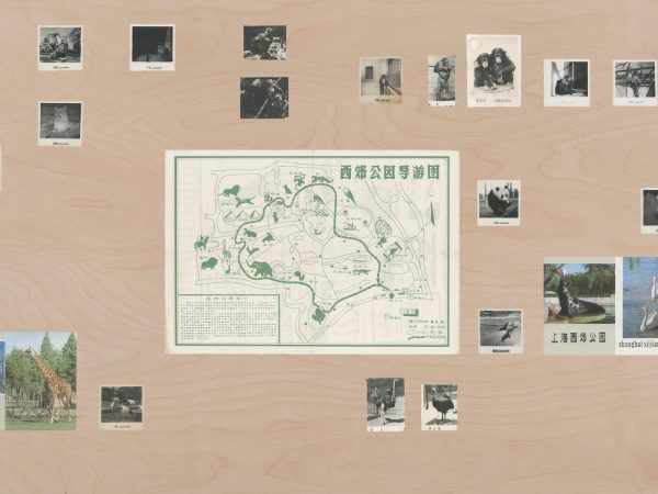 上海动物园1，2023