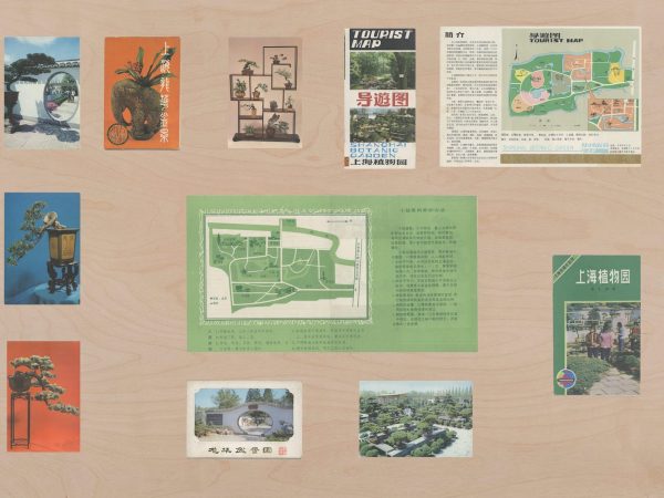 上海植物园，2023