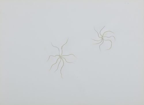 刘窗，野草集，2003