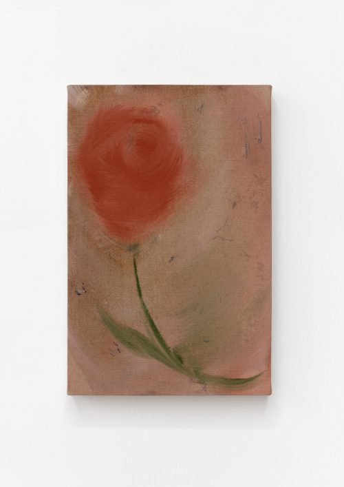 塔拉·沃尔特斯，Coral Rose，2024