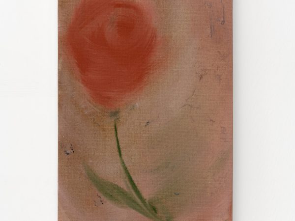 塔拉·沃尔特斯，Coral Rose，2024