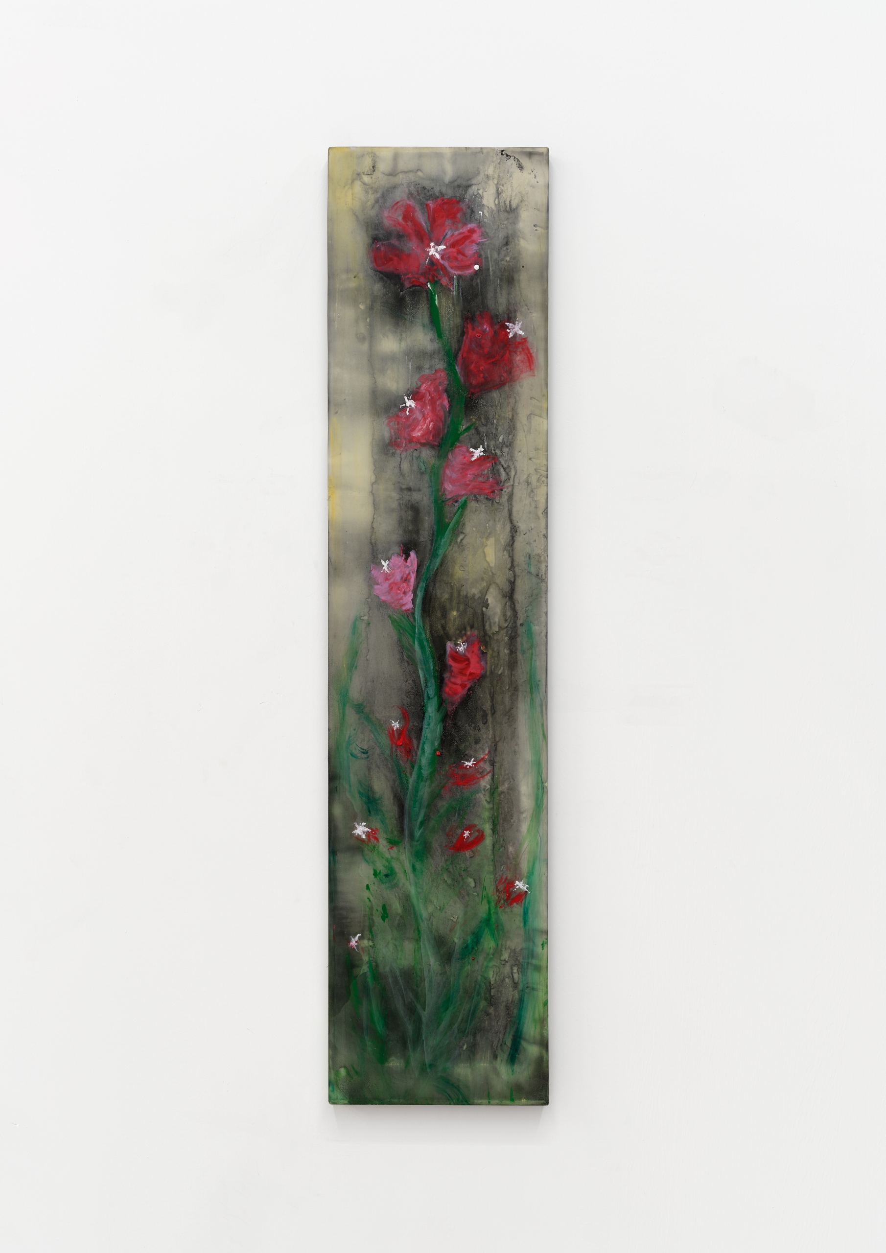 塔拉·沃尔特斯，Red Gladiolus，2024