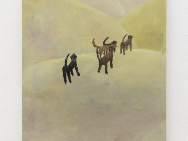 红妍，巡山，2023