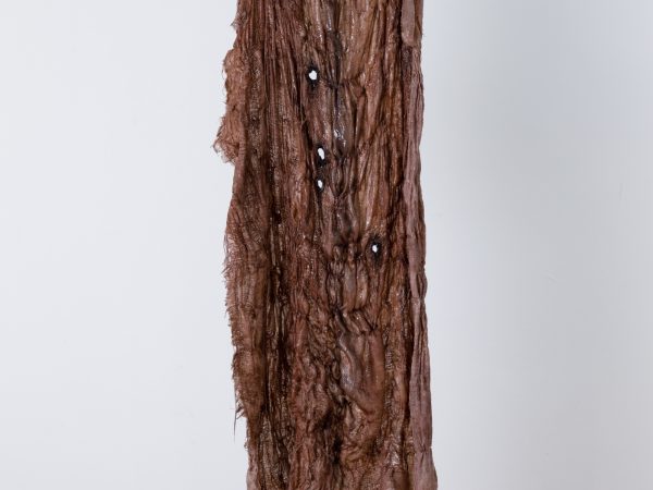 李美来，Studio piece for Black Sun: assholes II，2023