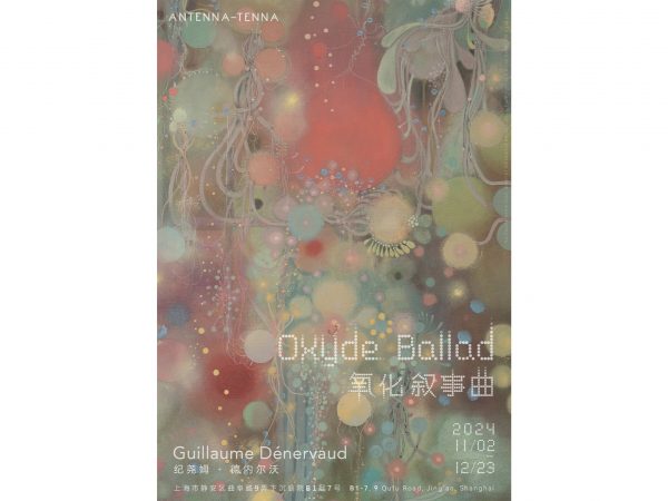 Guillaume Dénervaud: Oxyde Ballad