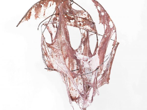 李美来，Open wound: Skin Sculpture studio prototype #1，2024