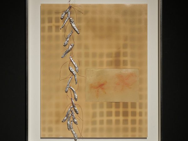 罗瑞·康，中胚层(杜鹃花 III)，2024