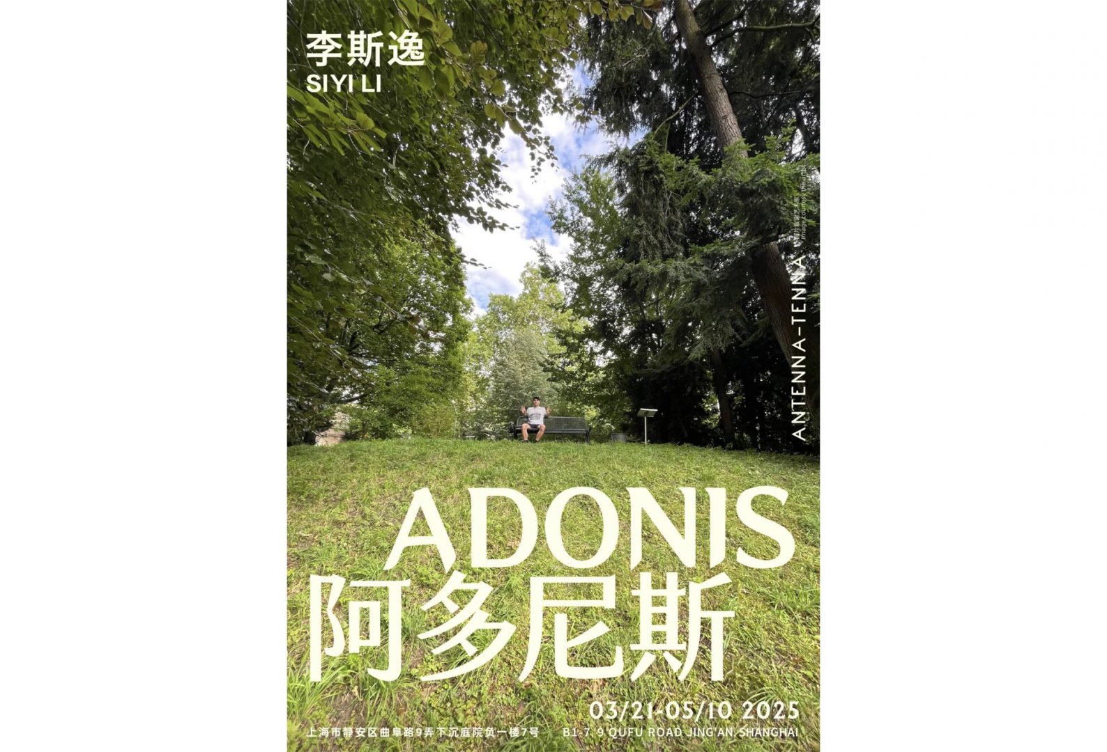 Siyi Li: Adonis