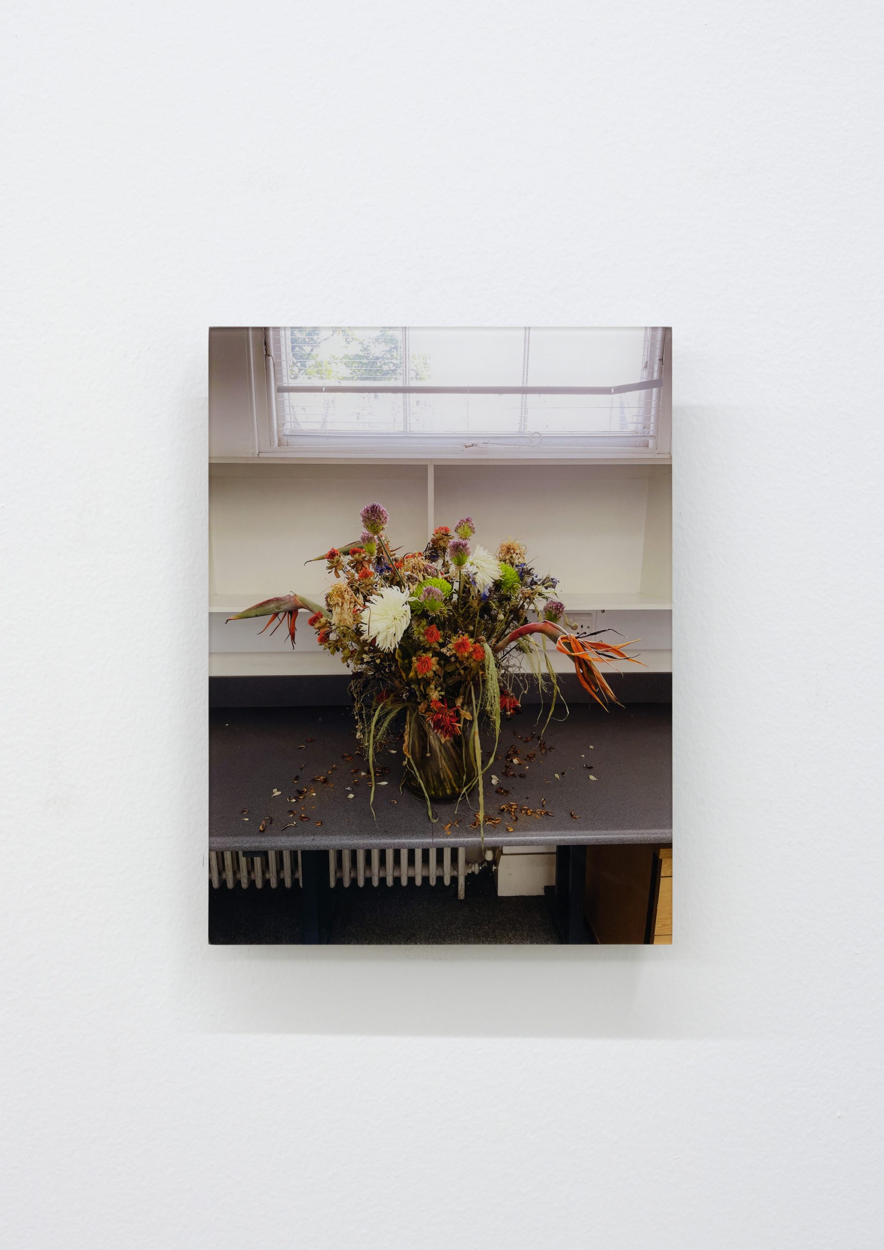 Siyi Li, Untitled, 2025