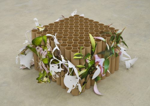 Siyi Li, Untitled (crying lilies), 2024