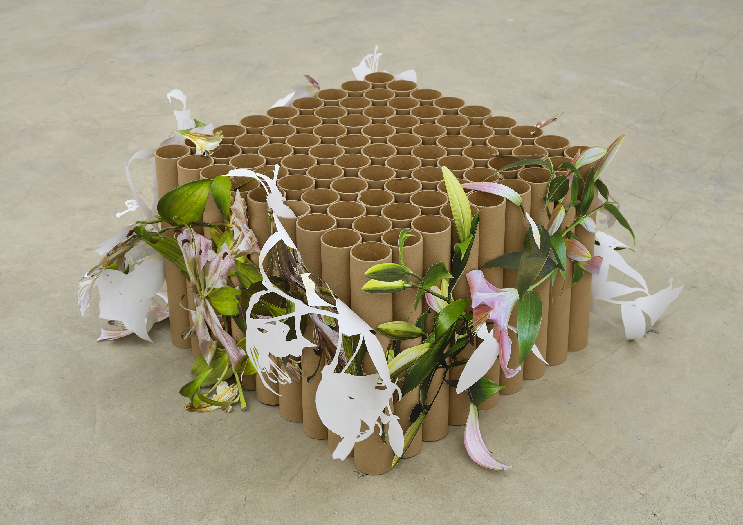 李斯逸，未命名（哭泣的百合花），2024