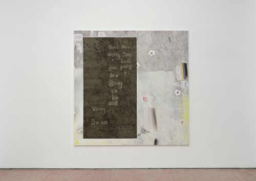 王伊芙玲韬程，由落樱和吃剩的披萨饼作为背景的引言，2024