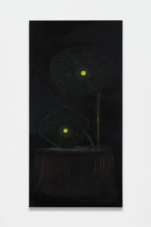 傅强，Upon the Night Lotus，2024