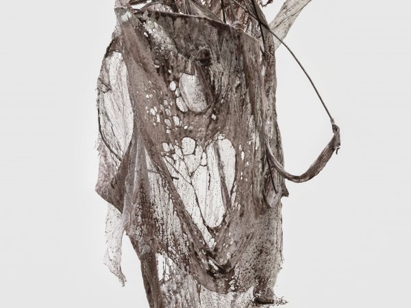 李美来，Open wound: Skin Sculpture studio prototype #4，2024
