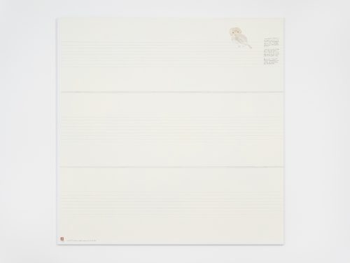 王伊芙玲韬程，Pearl-spotted Owlet from Out of Africa (1985) and Imitation of Agnes Martin，2023