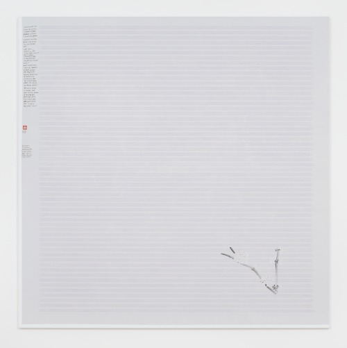 王伊芙玲韬程，Blossom of Coffee Arabica and Imitation of Agnes Martin，2023