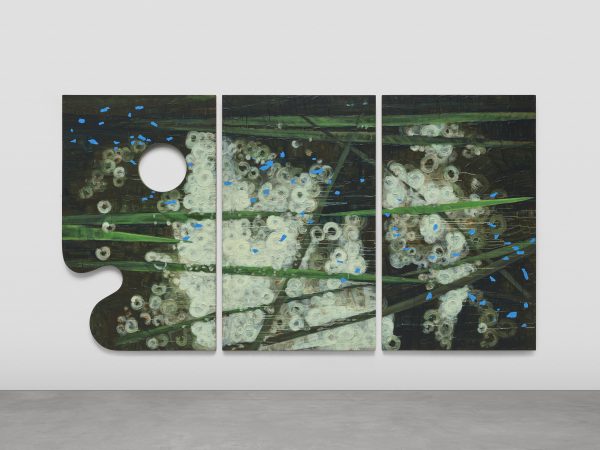 关小，Moss，2025