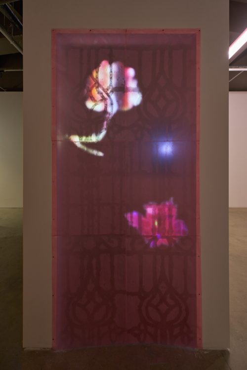 Tan Jing, Veiled Leaf (A Dream Interrupted), 2025
