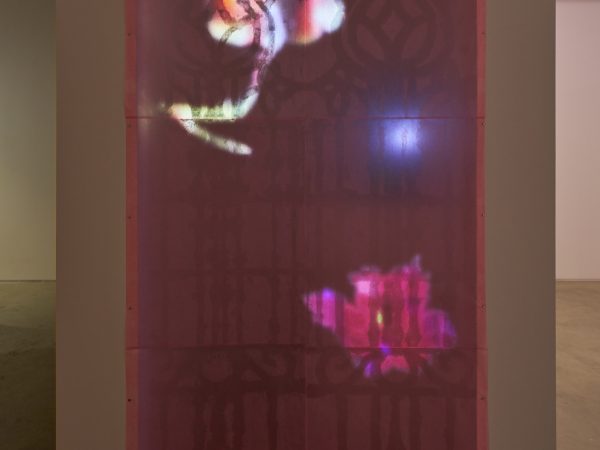 谭婧，窗扉（惊梦），2025