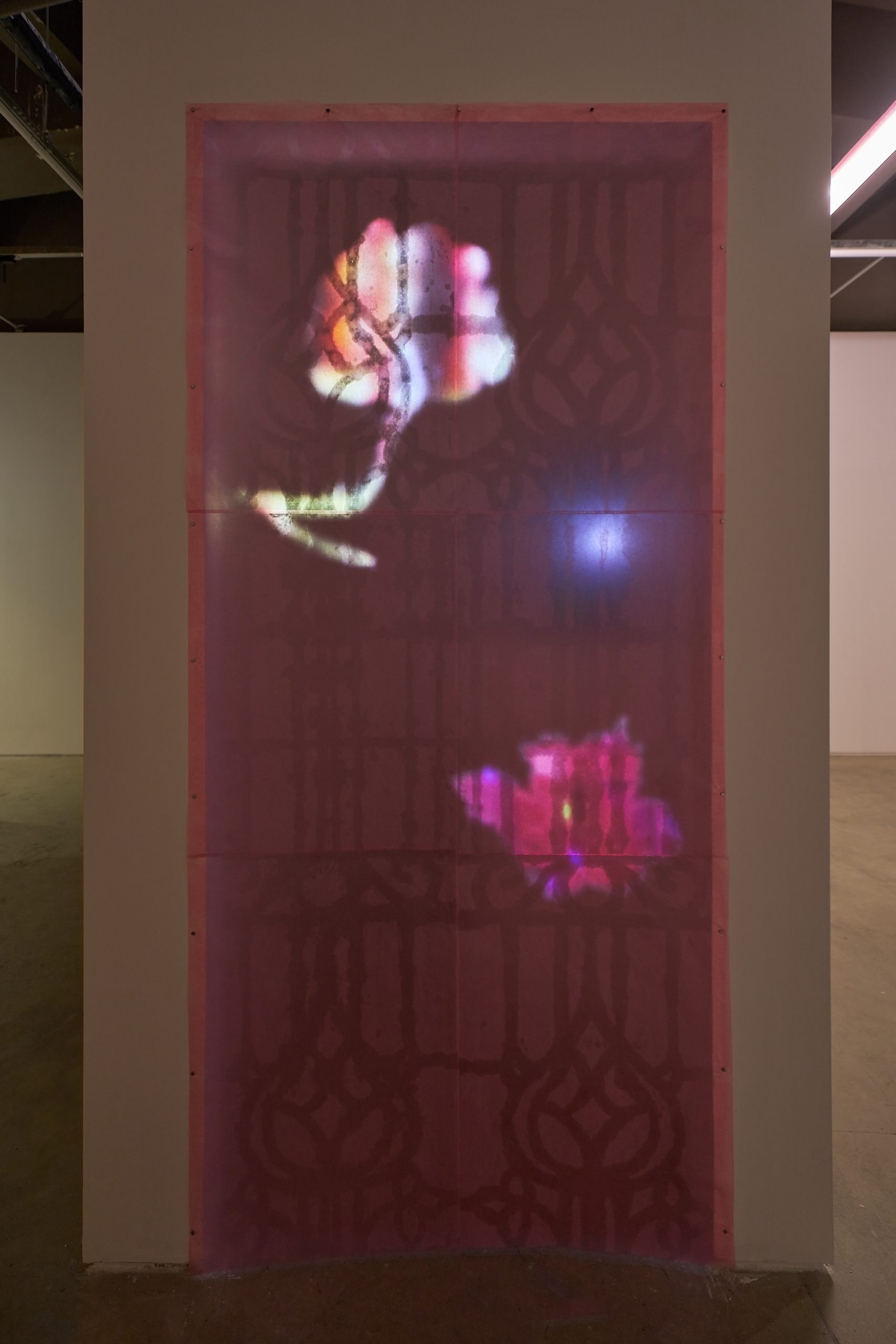 谭婧，窗扉（惊梦），2025
