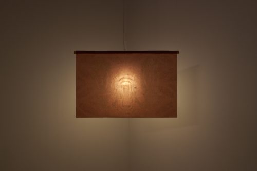 Tan Jing, Veiled Leaf (Obscurity), 2025