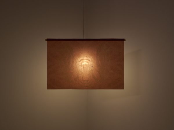 谭婧，窗扉（影影绰绰），2025