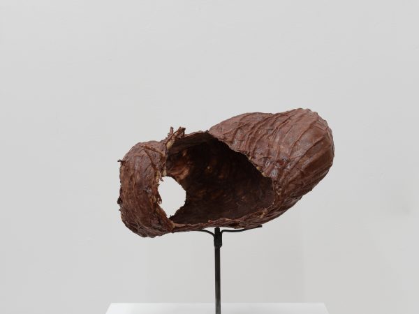 Mire Lee, Untitled #1 (Collage of helper's body), 2025