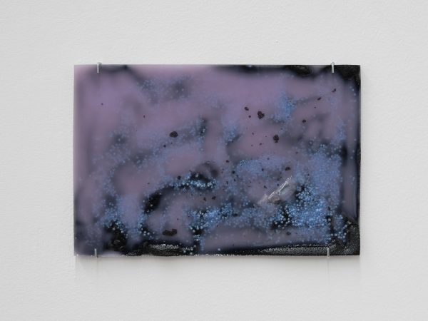 Shuang Li, Sweet as Honey, 2025
