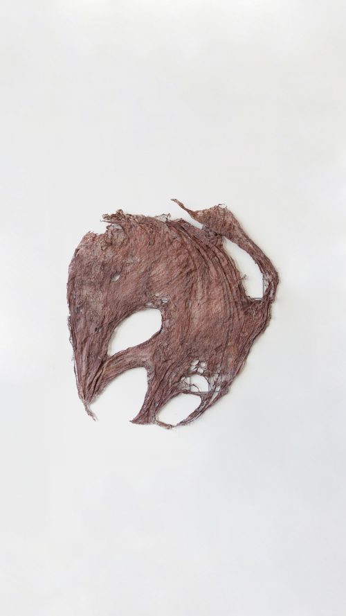 李美来，Untitled (Loose skin pieces from Open Wound #1)，2026
