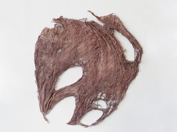 Mire Lee, Untitled (Loose skin pieces from Open Wound #1), 2026