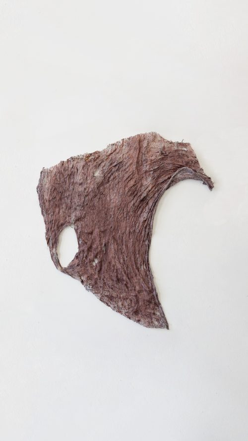 李美来，Untitled (Loose skin pieces from Open Wound #2)，2026