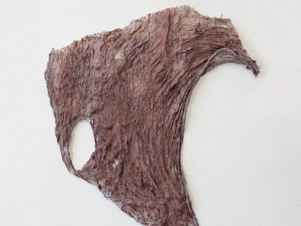 Mire Lee, Untitled (Loose skin pieces from Open Wound #2), 2026