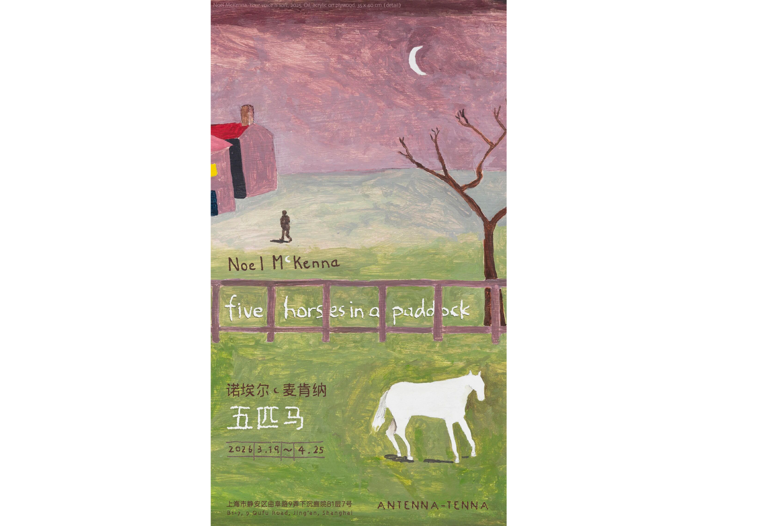 Noel McKenna: five horses in a paddock