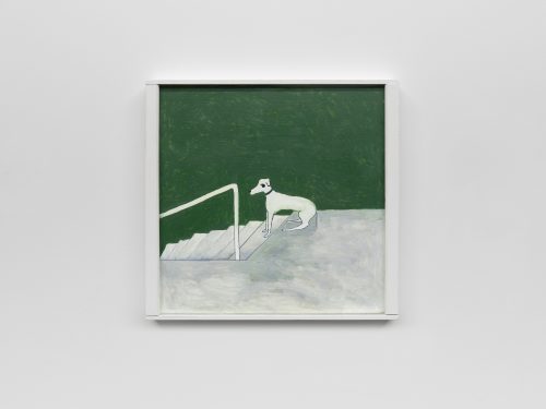 Noel McKenna, dog on stairs, 2025